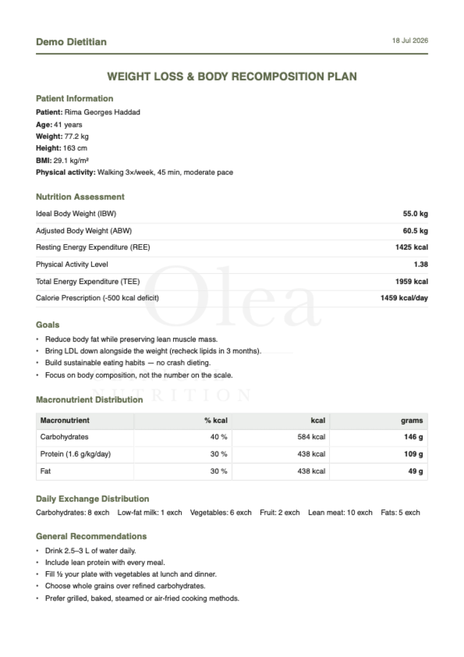 The exported plan PDF with the practice's own logo as a faint watermark behind the content